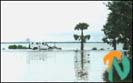 batti-flood-2_220100.gif