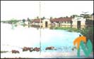 batti-flood-3_220100.gif