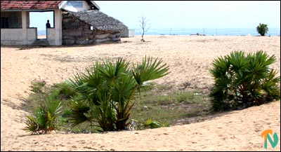 massacre_ditch_batti_210901.jpg