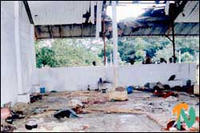 madhu_shelling_1.jpg