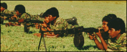 LTTE Training