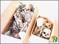Skeletal remains in Sithamparapuram, Vavuniya