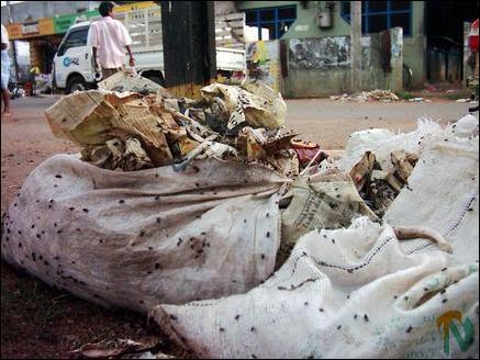 Vavuniya stinks