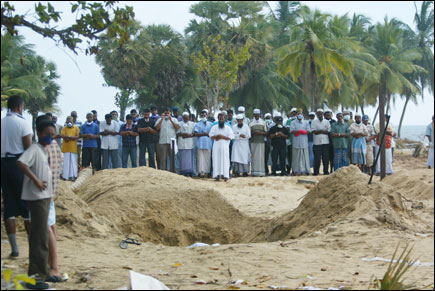 Tamilnet: 31.12.04 Muslims On Tsunami Hit Southeast Coast Suffer Heavily