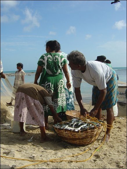 Family members help in sorting the day's catch. 