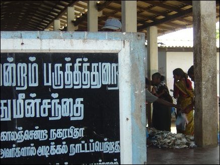 The fish market located 600m from Munai is one of the well known markets in Vadamaradchi. Since large portion of daily catch is taken to Colombo, local residents have to grapple with increasing prices.