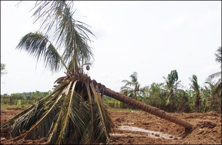 Vaddakkachchi bomb attack