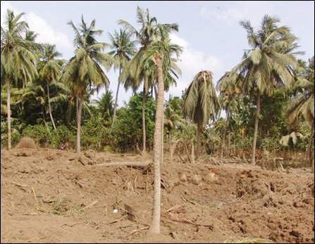 Vaddakkachchi bomb attack