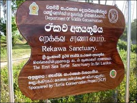 Rekawa Turtle Conservation Project