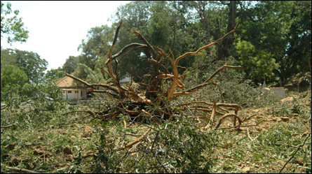 Tamileelam Police HQ attacked