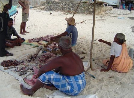 Jaffna peninsula fishermen exploited