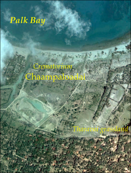Chaampaloadai