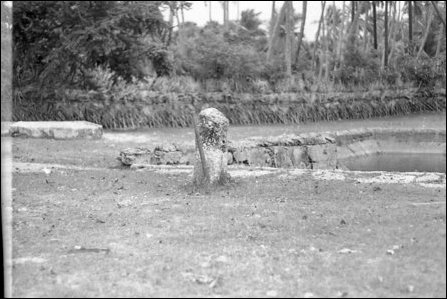 Cattle-rubbing stone at the entrance of a small Kea'ni, Anaikkoaddai, Jaffna