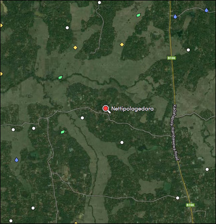 The landscape of Netti-pola-gedara.