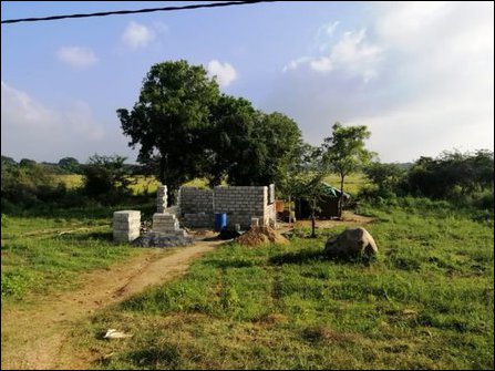 Huts put up by Sinhala settlers at Maa'lanoor