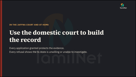 Slide 24: Use the domestic court to build the record